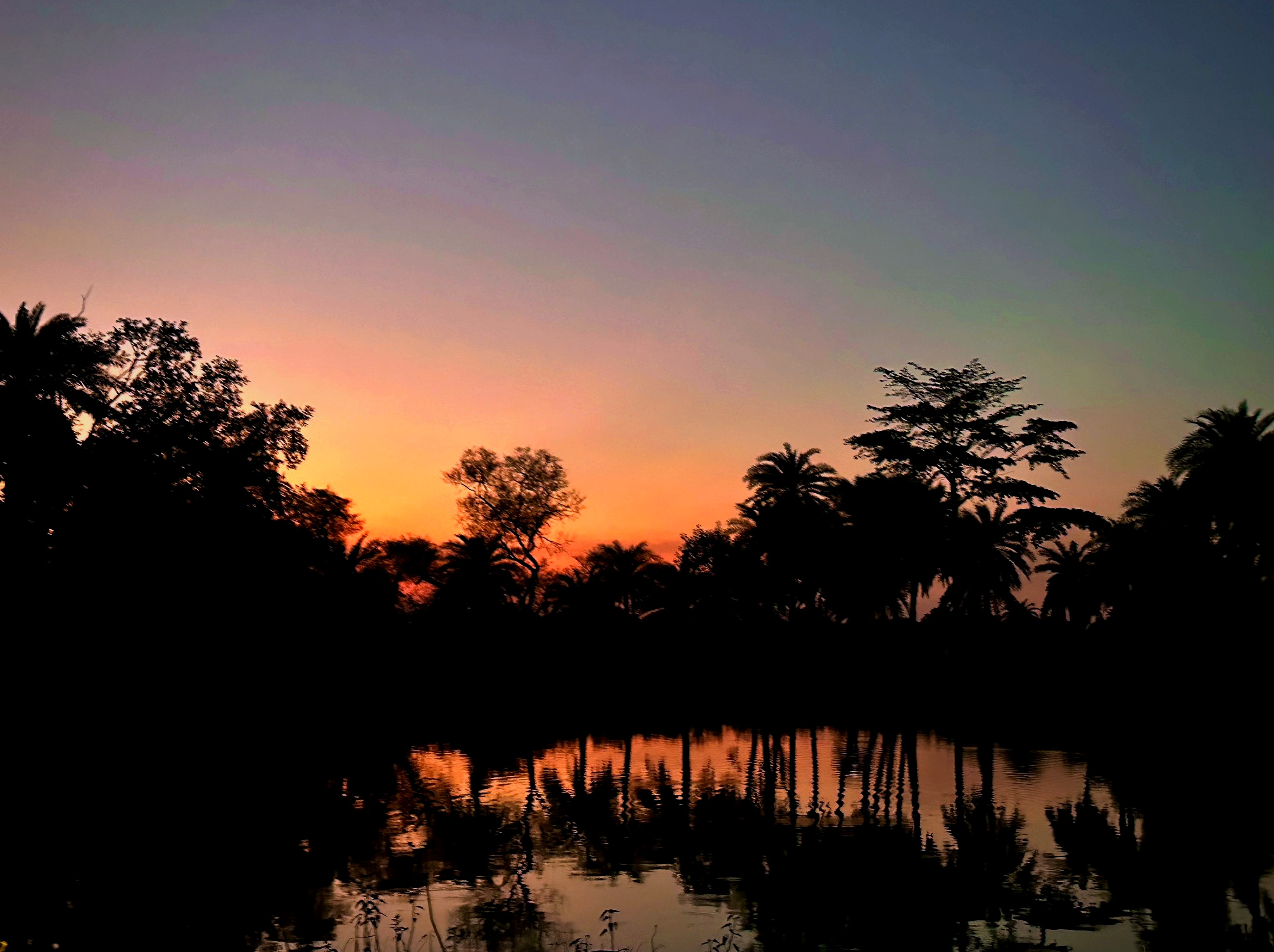 A sunset reflected across water and trees