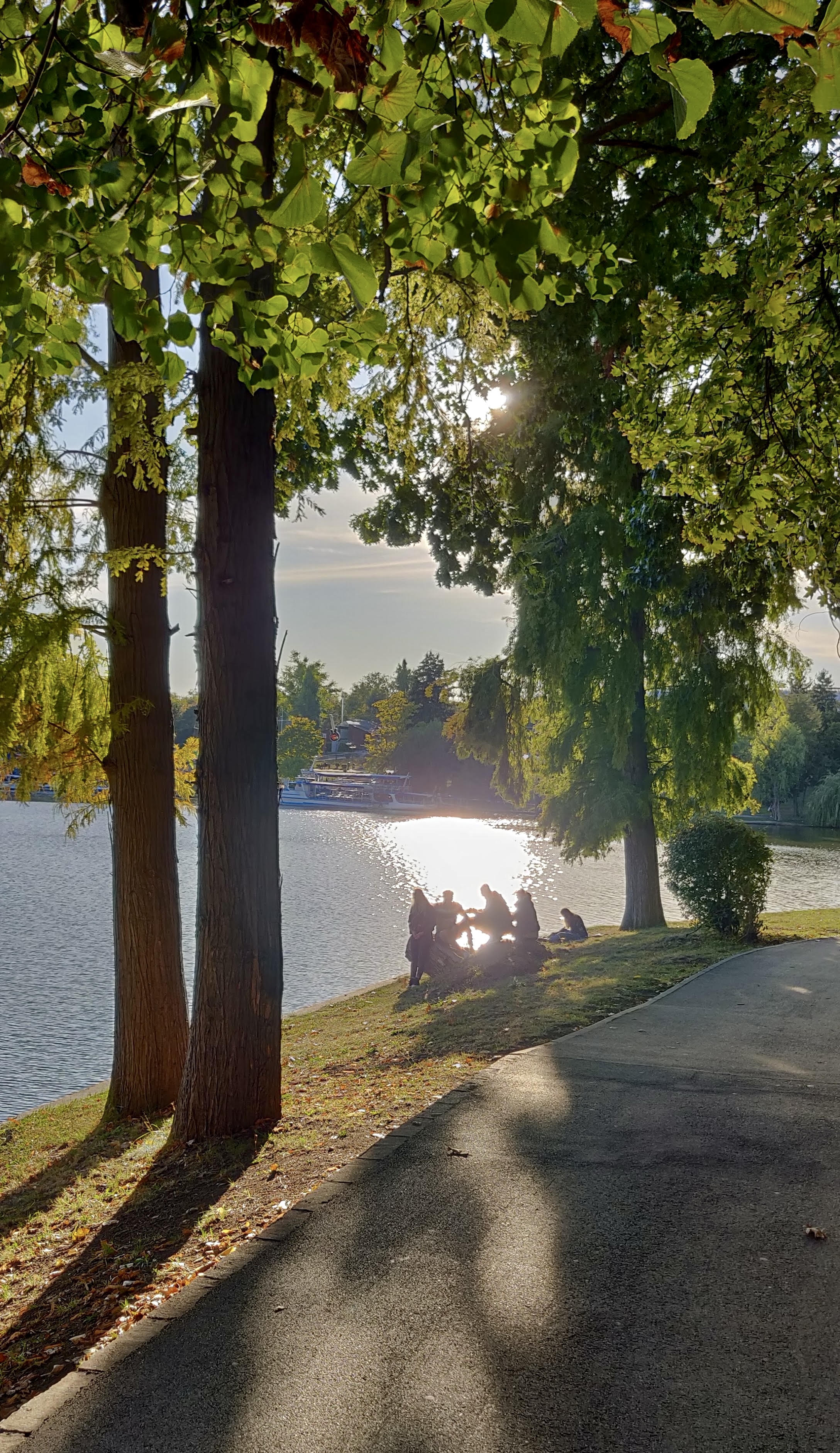 Lakeside scene in the evening light